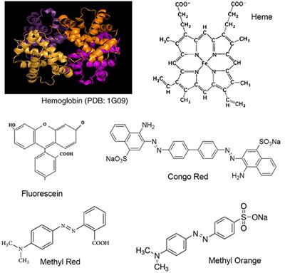 A Study of the Interaction of Bovine Hemoglobin with Synthetic Dyes Using Spectroscopic Techniques and Molecular Docking